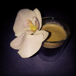 orchideekoffie